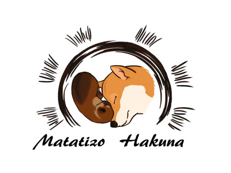 Matatizo Hakuna